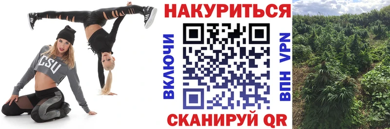 МАРИХУАНА ГИДРОПОН  MEGA ТОР  Разумное  цена  